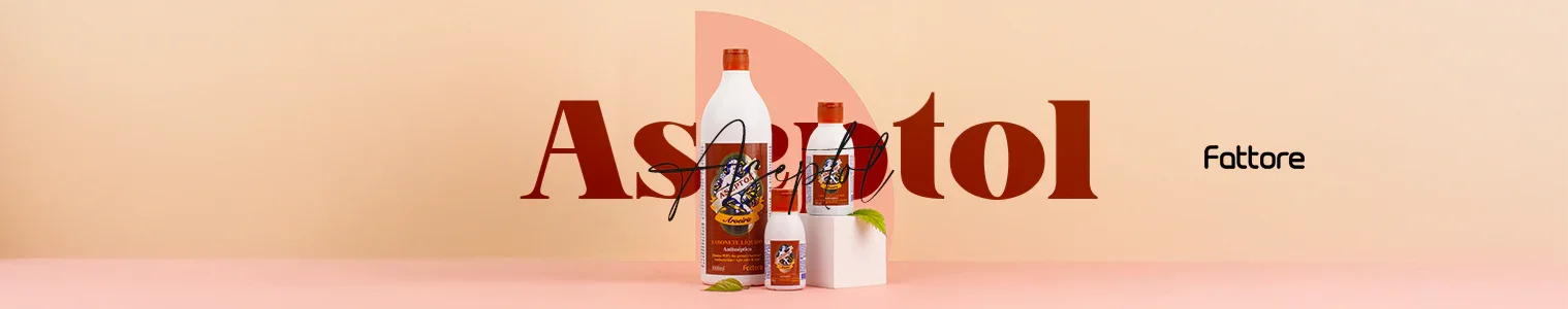Gel Antisséptico