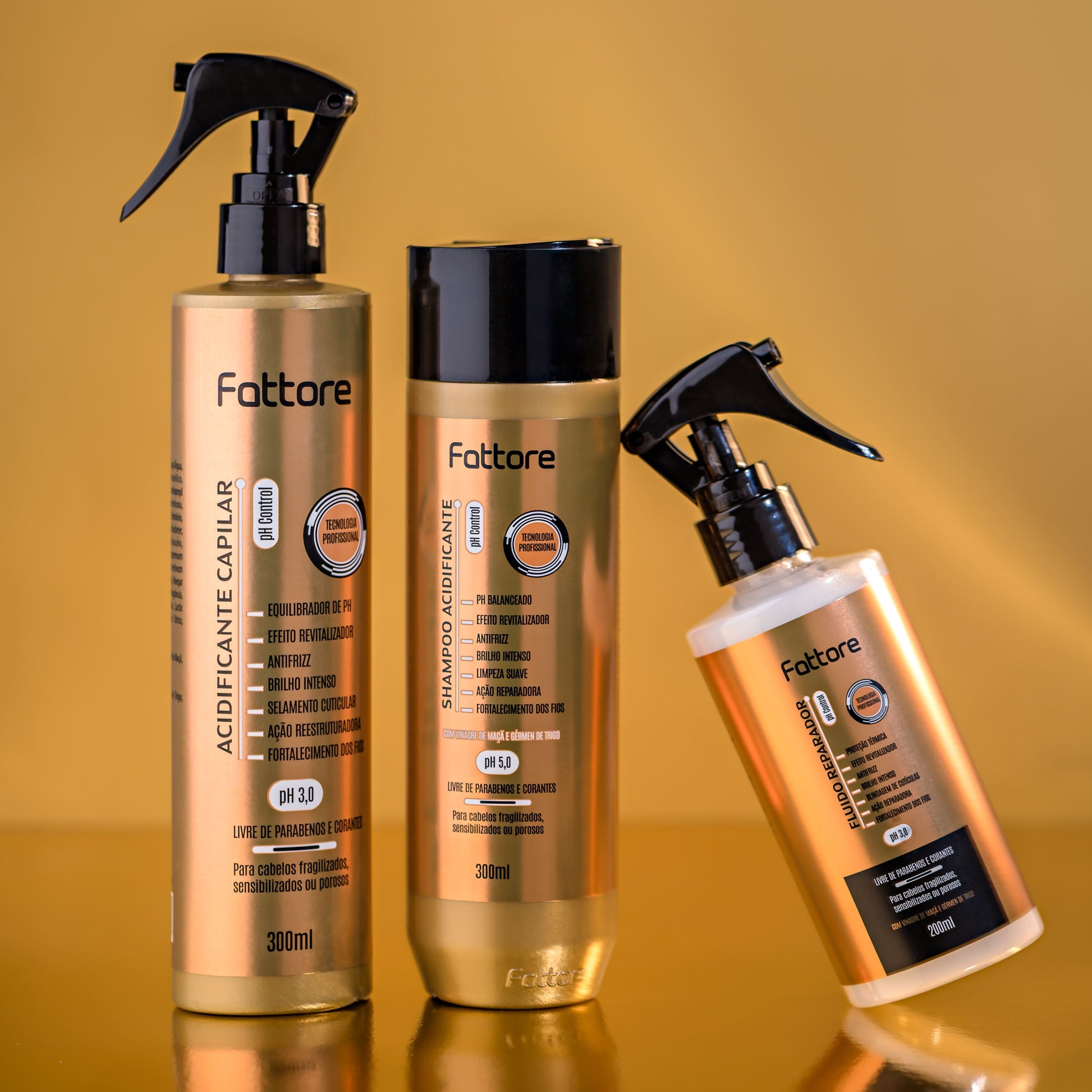 Fattore Kit Acidificante Capilar – Brilho Intenso e Controle do Frizz (3 Itens)